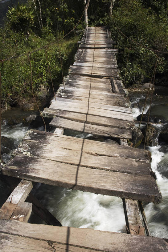 无人,竖图,俯视,室外,白天,旅游,度假,河流,美景,树林,水,植物,厄瓜多尔,一排,阴影,整齐,湍急,光线,木制,影子,河水,景观,水流,桥,破坏,娱乐,破损,树,树木,排列,绿色,阳光,自然,木制品,享受,休闲,景色,南美,放松,吊桥,生长,成长,人行桥,悬索桥,损坏,南美洲,拉丁美洲,队列,自然风光,美洲,吊杆,亚美利加洲,南亚美利加洲,厄瓜多尔共和国,锚锭,悬索,彩图,高角度拍摄,因巴布拉,因巴布拉省