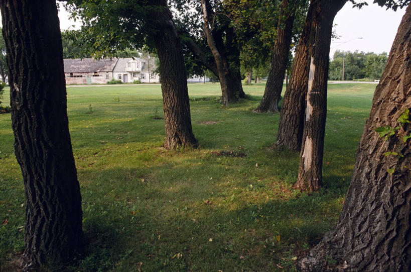 无人,家,农场,横图,室外,白天,正面,旅游,度假,畜牧业,牧场,草地,草坪,美景,植物,加拿大,阴影,光线,影子,房屋,屋子,景观,泥土,土壤,娱乐,楼房,住宅,草,树,树木,绿色,阳光,自然,享受,休闲,景色,放松,生长,成长,北美,北美洲,自然风光,美洲,畜牧,牧业,北亚美利加洲,亚美利加洲,马尼托巴,马尼托巴省,曼尼托巴省,彩图,房子,曼省,缅尼托巴省,缅省