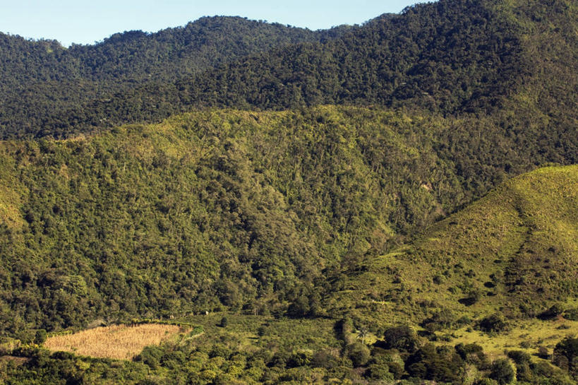 无人,农田,横图,俯视,室外,白天,旅游,度假,庄稼,农作物,草地,草坪,美景,山,山脉,植物,厄瓜多尔,阴影,光线,影子,景观,山峰,山峦,娱乐,草,树,树木,蓝色,绿色,蓝天,天空,阳光,自然,群山,天,享受,休闲,景色,南美,放松,茂密,茂盛,生长,成长,南美洲,拉丁美洲,自然风光,美洲,亚美利加洲,南亚美利加洲,厄瓜多尔共和国,彩图,高角度拍摄,耕地,庄稼田,因巴布拉,因巴布拉省
