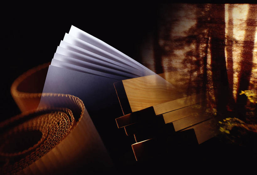 无人,横图,插画,室内,白天,正面,看书,阅读,数码,科技,书籍,学习,阴影,网络,高光,几何,计算机图形,合成,图画,画,书本,看,读书,浏览,电脑合成图,数码合成图,昏暗,阴暗,合成图,幽暗,特效,漫画,写实,具体,具象,暗淡,阴晦,书,图书,彩图