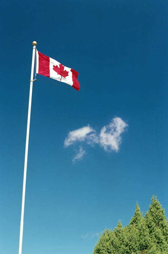 无人,竖图,室外,白天,仰视,植物,旗帜,国旗,一面,阴影,光线,旗杆,影子,云,云朵,枝条,云彩,树,树木,树枝,蓝色,绿色,白云,蓝天,天空,阳光,天,晴朗,加拿大国旗,虬枝,枝杈,旗,晴空,彩图,低角度拍摄,枫叶旗