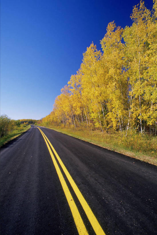 无人,竖图,室外,白天,正面,旅游,度假,草地,草坪,美景,植物,道路,路,公路,加拿大,阴影,光线,影子,景观,分界线,停车线,交通,娱乐,草,树,树木,蓝色,绿色,蓝天,天空,阳光,自然,天,享受,休闲,景色,放松,生长,晴朗,成长,车行道,车行道分界线,北美,北美洲,自然风光,标线,美洲,车行线,万里无云,北亚美利加洲,亚美利加洲,马尼托巴,马尼托巴省,曼尼托巴省,晴空,晴空万里,马路,彩图,曼省,缅尼托巴省,缅省