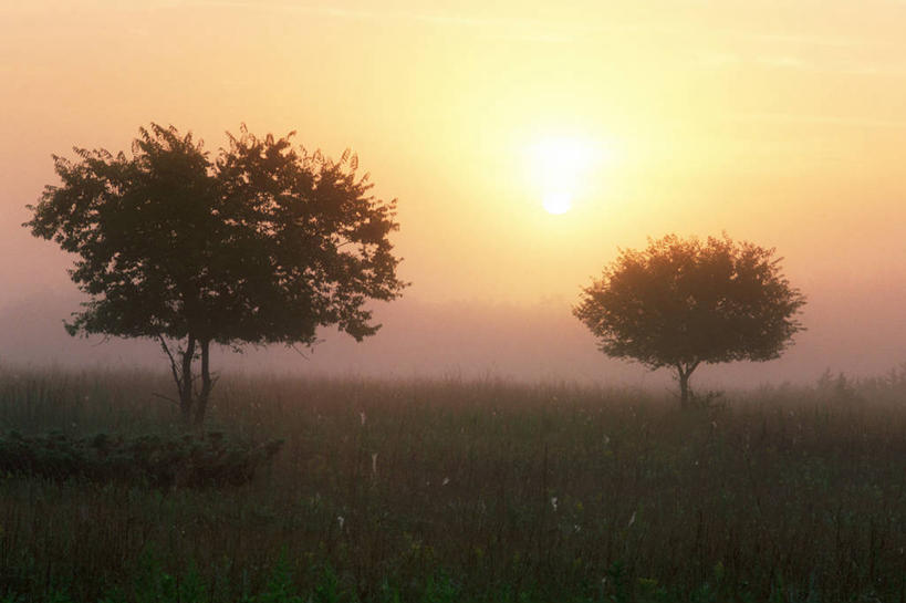 无人,横图,室外,白天,正面,旅游,度假,草地,草坪,美景,日落,太阳,植物,加拿大,阴影,朦胧,模糊,光线,影子,景观,晚霞,霞光,落日,背光,娱乐,草,树,树木,绿色,阳光,自然,黄昏,享受,休闲,景色,彩霞,放松,生长,成长,北美,北美洲,自然风光,美洲,逆光,北亚美利加洲,亚美利加洲,马尼托巴,马尼托巴省,曼尼托巴省,夕照,夕阳,彩图,曼省,缅尼托巴省,缅省,斜阳