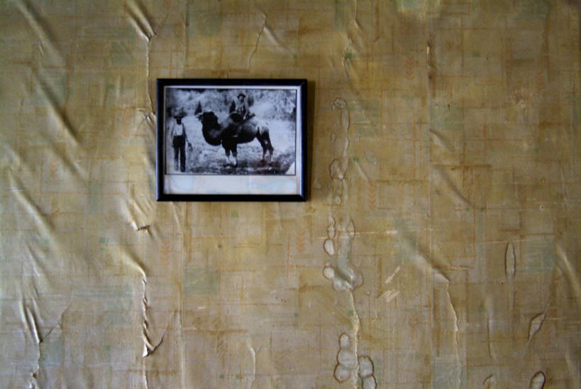 西方人,一个人,无人,博物馆,站,横图,照片,室内,白天,正面,旅游,度假,野生动物,欧洲,欧洲人,仅一个男性,仅一个人,一张,吊挂,悬挂,研究,墙,教育,挂,注视,娱乐,骆驼,墙壁,墙面,仅一个年轻男性,一只,动物,观察,看,站着,享受,休闲,放松,运输,摄影,观看,展览,察看,关注,欣赏,陈列,沙漠之舟,原驼,典藏,男人,男性,年轻男性,白种人,相片,站立,彩图,全身,拍摄,照相