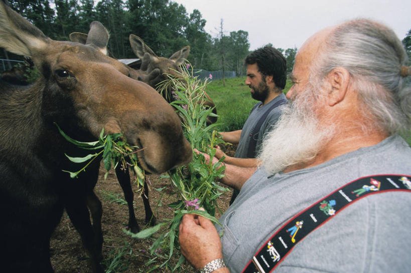 西方人,胡须,头发,两个人,站,横图,室外,白天,侧面,草地,草坪,植物,马,野生动物,欧洲,欧洲人,阴影,服装,光线,影子,泥土,土壤,休闲装,草,树,树木,衣服,蓝色,绿色,白色,黑色,蓝天,天空,阳光,自然,动物,天,站着,休闲,休闲服,运输,服饰,牲畜,生长,成长,两匹,豢养,喂养,老年男性,男人,男性,白种人,胡子,络腮胡,站立,半身,彩图
