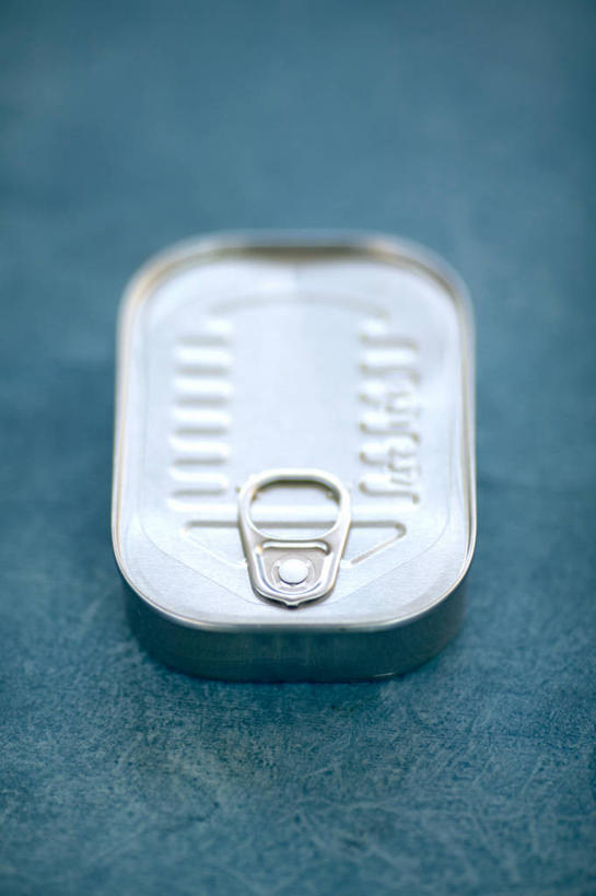 海鲜,无人,竖图,俯视,室内,白天,桌面,关闭,阴影,光线,鱼,罐头,影子,灯光,水产,鱼类,海洋生物,一个,蓝色,封闭,水生动物,海产品,水生物,海底动物,彩图,高角度拍摄