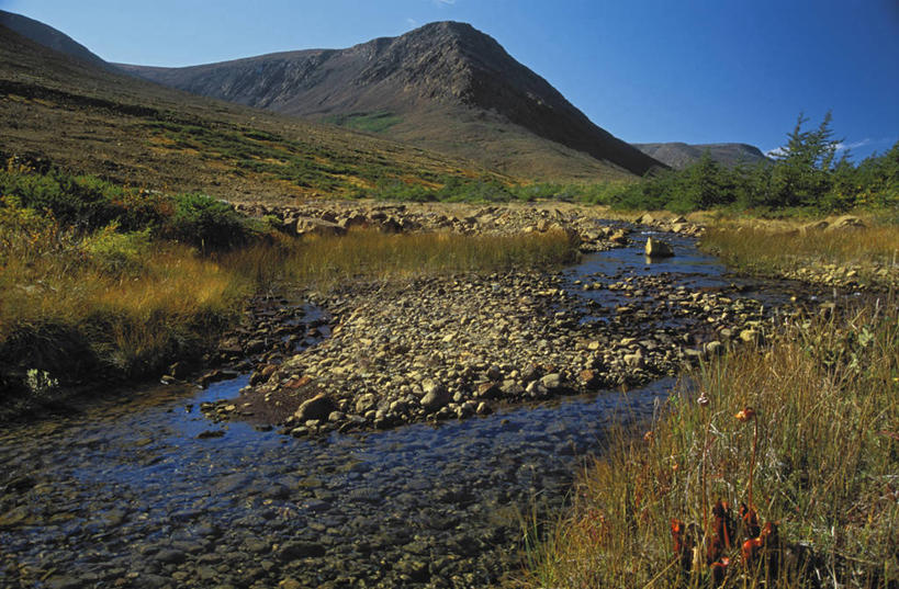 无人,公园,横图,俯视,室外,白天,旅游,度假,河流,石头,美景,山,山脉,水,植物,加拿大,一堆,阴影,堆叠,堆积,光线,石子,影子,河水,景观,山峰,水流,山峦,娱乐,树,树木,蓝色,绿色,蓝天,天空,阳光,自然,群山,天,享受,休闲,景色,放松,生长,晴朗,成长,堆,北美,北美洲,国家公园,自然风光,美洲,万里无云,北亚美利加洲,亚美利加洲,格罗斯莫讷国家公园,纽芬兰,石块,岩石,晴空,晴空万里,彩图,高角度拍摄,格罗摩恩国家公园,格罗莫讷国家公园,格罗斯莫恩国家公园,纽芬兰.拉布拉多,纽芬兰.拉布拉多省,纽芬兰岛
