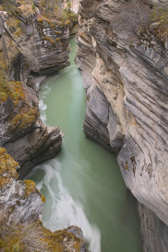 无人,公园,竖图,俯视,室外,白天,旅游,度假,河流,石头,美景,山,水,加拿大,石子,河水,景观,山峰,水流,悬崖,山峦,娱乐,自然,享受,休闲,景色,放松,北美,北美洲,国家公园,自然风光,美洲,阿尔伯塔省,阿尔伯塔,北亚美利加洲,亚美利加洲,绝壁,艾伯塔,艾伯塔省,贾斯珀国家公园,亚伯达,石块,彩图,高角度拍摄,阿省,艾省,亚伯达省,亚省