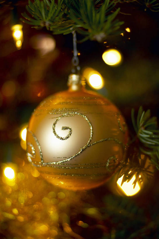 无人,竖图,室内,特写,白天,正面,兴奋,植物,圣诞节,阴影,节日,朦胧,模糊,庆祝,装饰,光线,挂饰,影子,灯光,圣诞树,金黄,圣诞球,文化,球,树,树木,绿色,庆典,球体,生长,成长,欢快,纪念,华丽,修饰,喜悦,点缀,欢腾,衬托,美观,雅致,雅观,庆幸,彩图,高兴,欢乐,开心,愉快