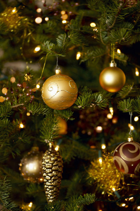 无人,竖图,室内,特写,白天,正面,兴奋,植物,圣诞节,阴影,节日,朦胧,模糊,庆祝,装饰,光线,挂饰,影子,灯光,圣诞树,金黄,圣诞球,文化,球,树,树木,绿色,庆典,球体,生长,成长,欢快,纪念,华丽,修饰,喜悦,点缀,欢腾,衬托,美观,雅致,雅观,庆幸,彩图,高兴,欢乐,开心,愉快