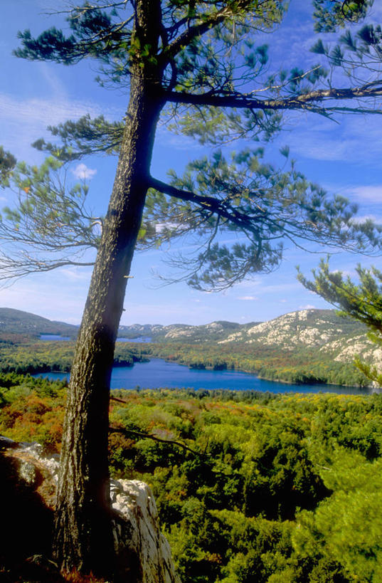 无人,公园,竖图,室外,白天,正面,旅游,度假,湖,湖泊,美景,森林,树林,水,植物,加拿大,阴影,光线,影子,湖面,景观,水流,水面,云,云朵,云彩,娱乐,树,树木,蓝色,绿色,白云,蓝天,天空,阳光,自然,湖水,天,享受,休闲,景色,放松,生长,晴朗,成长,北美,北美洲,自然风光,美洲,北亚美利加洲,亚美利加洲,安大略省,安省,基拉尼省立公园,省立公园,晴空,彩图