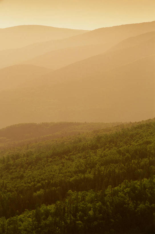 无人,公园,竖图,俯视,室外,白天,旅游,度假,美景,日落,森林,山,山脉,树林,植物,加拿大,平静,景观,山峰,晚霞,霞光,落日,山峦,娱乐,树,树木,绿色,自然,黄昏,群山,享受,休闲,景色,彩霞,安静,放松,生长,成长,宁静,北美,北美洲,国家公园,静谧,自然风光,美洲,新斯科舍,北亚美利加洲,亚美利加洲,沉静,恬静,安祥,僻静,清静,太平,布雷顿角岛,新斯科舍省,夕照,夕阳,彩图,高角度拍摄,布雷顿角高地国家公园,诺省,斯高沙省,新省,新斯高沙省,新斯科细亚省,斜阳