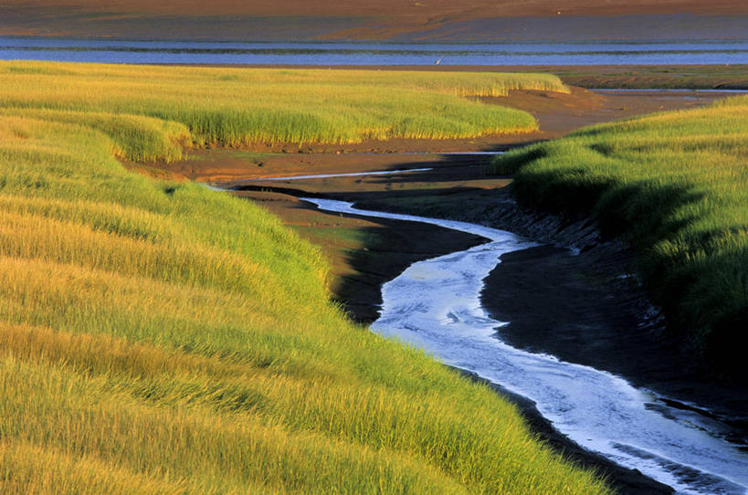 无人,横图,俯视,室外,白天,旅游,度假,草地,草原,河流,美景,水,植物,加拿大,阴影,波纹,曲折,弯曲,光线,影子,河水,景观,旷野,水流,娱乐,草,绿色,水纹,阳光,自然,波浪,享受,休闲,景色,放松,蜿蜒,北美,北美洲,自然风光,原野,美洲,新斯科舍,北亚美利加洲,亚美利加洲,新斯科舍省,彩图,高角度拍摄,诺省,斯高沙省,新省,新斯高沙省,新斯科细亚省,金斯县