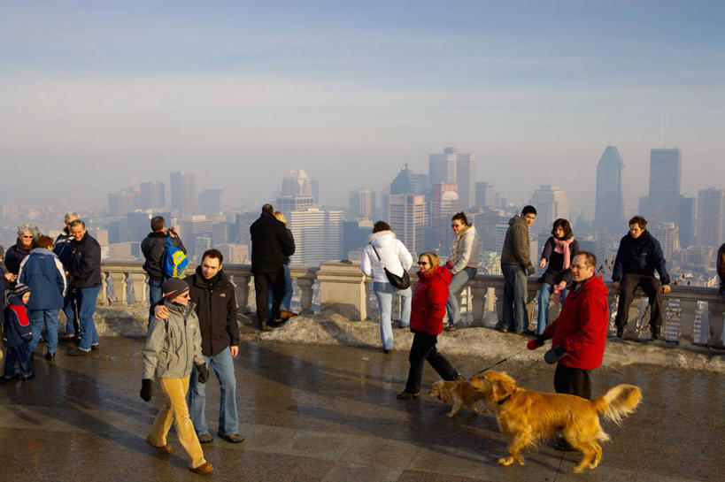 西方人,高楼大厦,横图,全景,室外,白天,正面,度假,美景,天际线,城市风光,城市,大厦,道路,建筑,路,摩天大楼,公路,宠物,狗,欧洲,加拿大,欧洲人,阴影,光线,影子,墙,景观,交通,许多人,娱乐,金毛犬,墙壁,墙面,一只,蓝色,蓝天,天空,阳光,动物,天,一群人,享受,休闲,景色,放松,可爱,金毛,晴朗,金毛猎犬,北美,北美洲,寻回犬,美洲,金毛寻回犬,忠诚,万里无云,北亚美利加洲,亚美利加洲,金毛狗,金毛寻回狗,寻回狗,魁北克省,蒙特利尔,蒙特利尔市,蒙特娄,圣人之城,皇家山,男人,男性,年轻男性,年轻女性,女人,女性,白种人,晴空,晴空万里,马路,犬,彩图,全身,大楼,高层建筑,高楼,摩天楼,古壁省,魁省