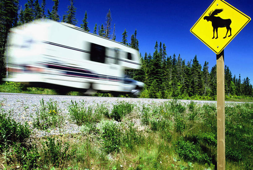 无人,公园,横图,室外,白天,仰视,草地,草坪,美景,植物,道路,路,指示牌,公路,加拿大,阴影,光线,标志,文字,影子,景观,交通,警告,标识,车,草,树,树木,黄色,蓝色,绿色,蓝天,天空,阳光,自然,交通工具,天,景色,警示,生长,晴朗,成长,禁止,提醒,北美,北美洲,国家公园,提示,限制,自然风光,载具,美洲,露营,野营,房车,万里无云,宿营,北亚美利加洲,亚美利加洲,格罗斯莫讷国家公园,纽芬兰,纽芬兰省,露营车,危险,晴空,晴空万里,马路,彩图,低角度拍摄