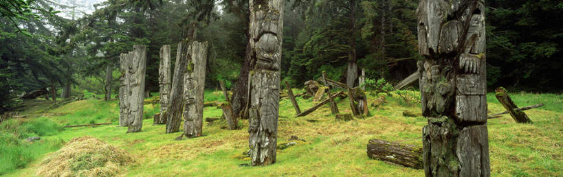 无人,横图,室外,白天,正面,旅游,度假,安全,草地,草坪,美景,植物,加拿大,阴影,装饰,平静,光线,影子,景观,娱乐,草,树,树木,绿色,阳光,自然,享受,休闲,景色,放松,生长,成长,宁静,华丽,修饰,点缀,北美,北美洲,自然风光,图腾,美洲,和平,安详,北亚美利加洲,亚美利加洲,衬托,美观,雅致,雅观,太平,安适,卑诗省,不列颠哥伦比亚,不列颠哥伦比亚省,夏洛特皇后群岛,安好,宁靖,彩图