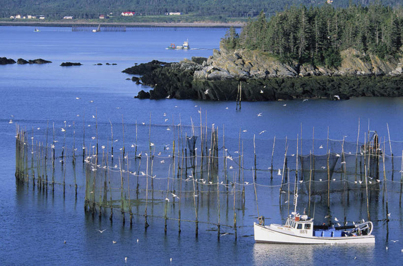 无人,栏杆,横图,俯视,室外,白天,旅游,度假,湖,湖泊,美景,山,山脉,水,植物,雾,加拿大,阴影,朦胧,模糊,光线,影子,栅栏,湖面,景观,篱笆,山峰,水流,水面,围栏,山峦,娱乐,护栏,绿色,阳光,自然,湖水,群山,享受,休闲,景色,放松,生长,成长,迷雾,北美,北美洲,自然风光,美洲,北亚美利加洲,亚美利加洲,新不伦瑞克,新不伦瑞克省,大雾,彩图,高角度拍摄