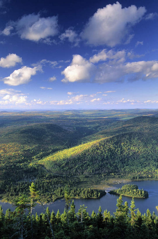 无人,竖图,室外,白天,正面,旅游,度假,湖,湖泊,美景,森林,山,山脉,树林,水,植物,加拿大,阴影,光线,影子,湖面,景观,山峰,水流,水面,云,云朵,山峦,云彩,娱乐,树,树木,蓝色,绿色,白云,蓝天,天空,阳光,自然,湖水,群山,天,享受,休闲,景色,放松,生长,晴朗,成长,北美,北美洲,自然风光,美洲,北亚美利加洲,亚美利加洲,新不伦瑞克,新不伦瑞克省,晴空,彩图