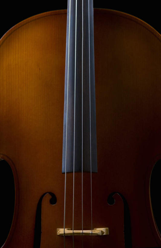 无人,竖图,室内,特写,白天,正面,静物,金属制品,阴影,黑色背景,光线,金属,木制,影子,大提琴,乐器,弦,弦乐器,一个,木制品,摄影,影棚,单个,弓拉弦乐器,弓拉弦鸣乐器,彩图,影棚拍摄,拍摄