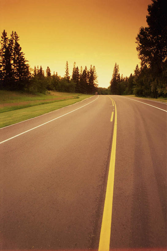 无人,竖图,室外,白天,正面,旅游,草地,草坪,美景,树林,植物,道路,路,公路,阴影,光线,影子,景观,分界线,停车线,交通,草,树,树木,绿色,阳光,自然,景色,生长,成长,车行道,车行道分界线,自然风光,延伸,标线,车行线,延长,马路,彩图,游览