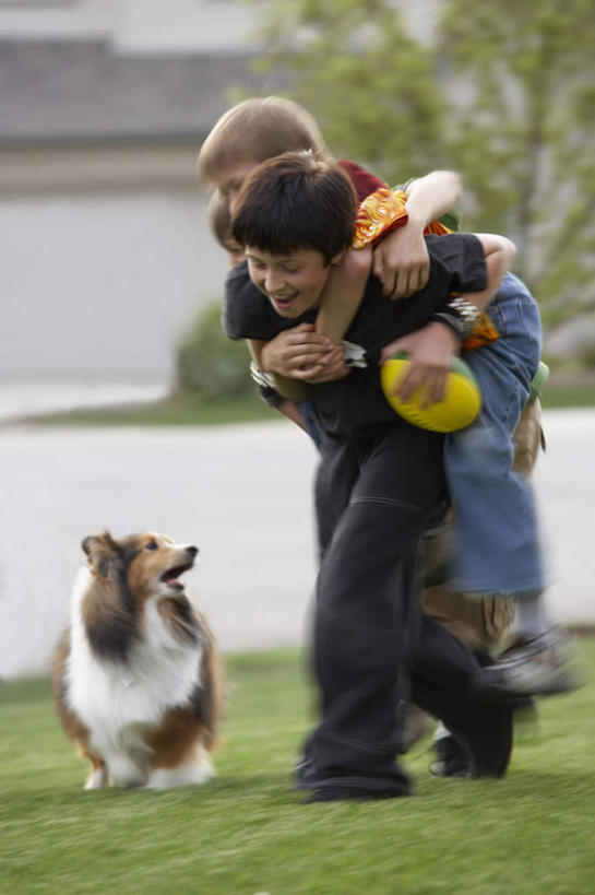 西方人,儿童,背,三个人,家,站,走,竖图,室外,白天,正面,草地,草坪,植物,宠物,狗,欧洲,欧洲人,阴影,服装,光线,影子,房屋,墙,屋子,注视,休闲装,楼房,墙壁,墙面,住宅,草,树,树木,一只,小孩,衣服,绿色,阳光,自然,动物,背着,观察,看,站着,休闲,休闲服,服饰,生长,牧羊犬,成长,观看,察看,关注,喜乐蒂牧羊犬,忠诚,背负,设得兰群岛牧羊犬,谢德兰牧羊犬,男孩,男人,男性,白种人,犬,步行,散步,站立,走路,彩图,全身,房子,男生