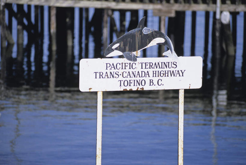 无人,横图,室外,白天,正面,旅游,度假,河流,美景,水,植物,哺乳动物,鲨鱼,野生动物,加拿大,阴影,波纹,光线,英文,标志,文字,影子,字符,字母,墙,河水,景观,水流,娱乐,标识,海洋生物,墙壁,墙面,树,树木,绿色,水纹,阳光,自然,动物,波浪,享受,休闲,景色,放松,生长,温和,成长,英文字母,北美,北美洲,自然风光,水生动物,美洲,水生物,温顺,海底动物,北亚美利加洲,亚美利加洲,卑诗省,不列颠哥伦比亚,不列颠哥伦比亚省,温哥华岛,豆腐鲨,鲸鲨,沙鱼,彩图