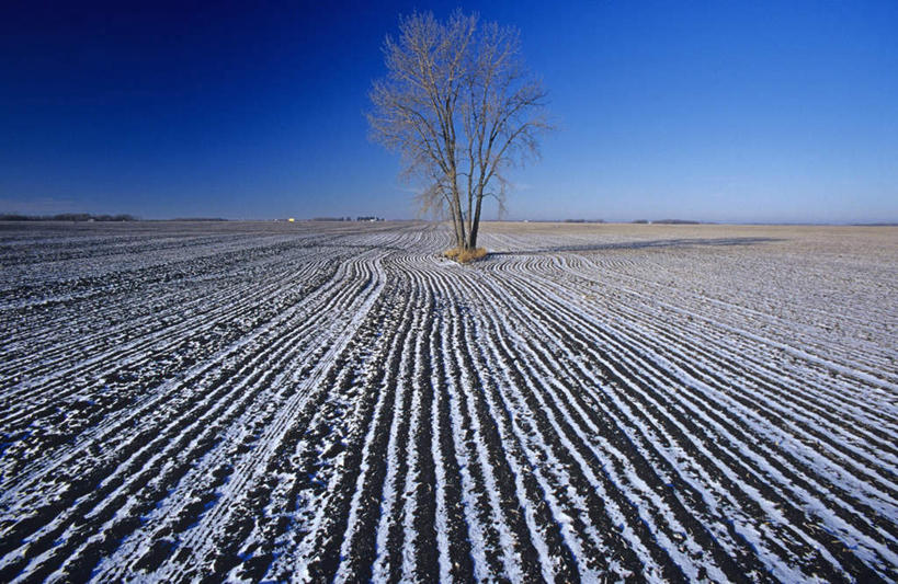 无人,横图,俯视,室外,白天,旅游,度假,美景,植物,美国,阴影,光线,影子,景观,泥土,土壤,娱乐,树,树木,蓝色,绿色,蓝天,天空,阳光,自然,天,享受,休闲,景色,放松,生长,晴朗,成长,北美,北美洲,自然风光,美洲,爱达荷州,万里无云,北亚美利加洲,亚美利加洲,爱达荷,爱达华州,宝石之州,宝石州,晴空,晴空万里,彩图,高角度拍摄