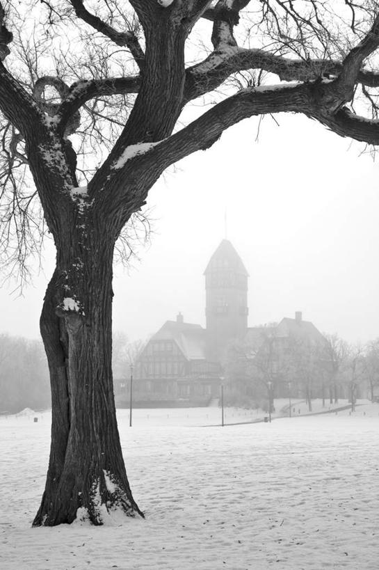 无人,竖图,室外,白天,正面,旅游,度假,美景,雪,植物,雾,大雪,加拿大,阴影,朦胧,模糊,光线,影子,积雪,景观,雪景,冬季,冬天,娱乐,树,树木,绿色,阳光,自然,享受,休闲,景色,放松,寒冷,生长,成长,迷雾,北美,北美洲,自然风光,美洲,省会,北亚美利加洲,亚美利加洲,严寒,马尼托巴,马尼托巴省,曼尼托巴省,温尼伯,大雾,彩图