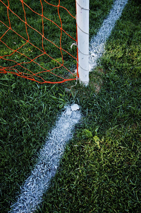 无人,竖图,俯视,室外,特写,白天,草地,草坪,植物,加拿大,阴影,朦胧,模糊,光线,球门,影子,球网,草,绿色,阳光,北美,北美洲,美洲,北亚美利加洲,亚美利加洲,魁北克省,彩图,高角度拍摄