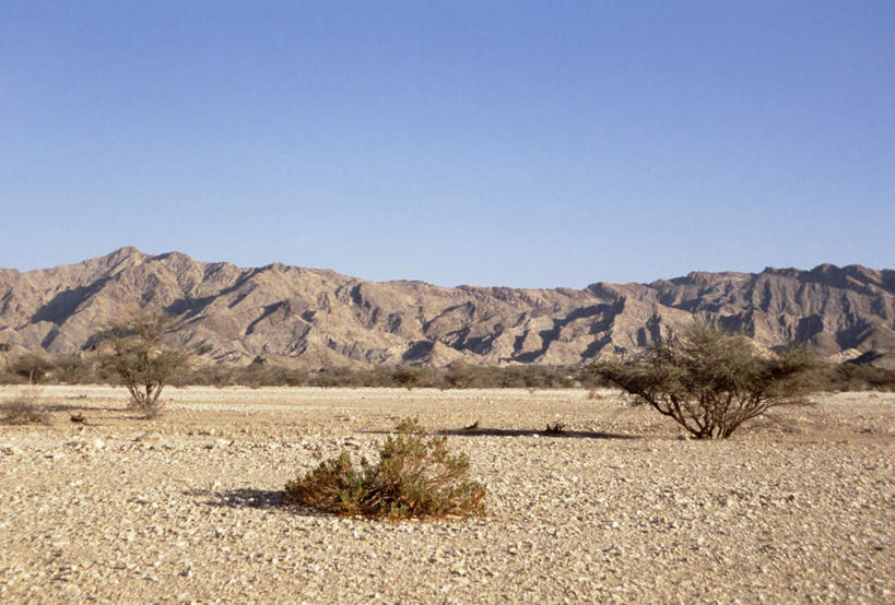 无人,横图,室外,白天,正面,旅游,度假,安全,山,植物,道路,路,公路,汽车,阿曼,亚洲,阴影,枯萎,平静,光线,影子,山峰,分界线,枯草,停车线,交通,山峦,娱乐,车,草,黄色,蓝色,风景,蓝天,天空,阳光,交通工具,轿车,天,享受,休闲,景色,放松,晴朗,风光,车行道,车行道分界线,宁静,景物,载具,标线,西亚,和平,安详,车行线,万里无云,风物,光景,景致,太平,安适,阿曼苏丹国,安好,宁靖,晴空,晴空万里,马路,彩图