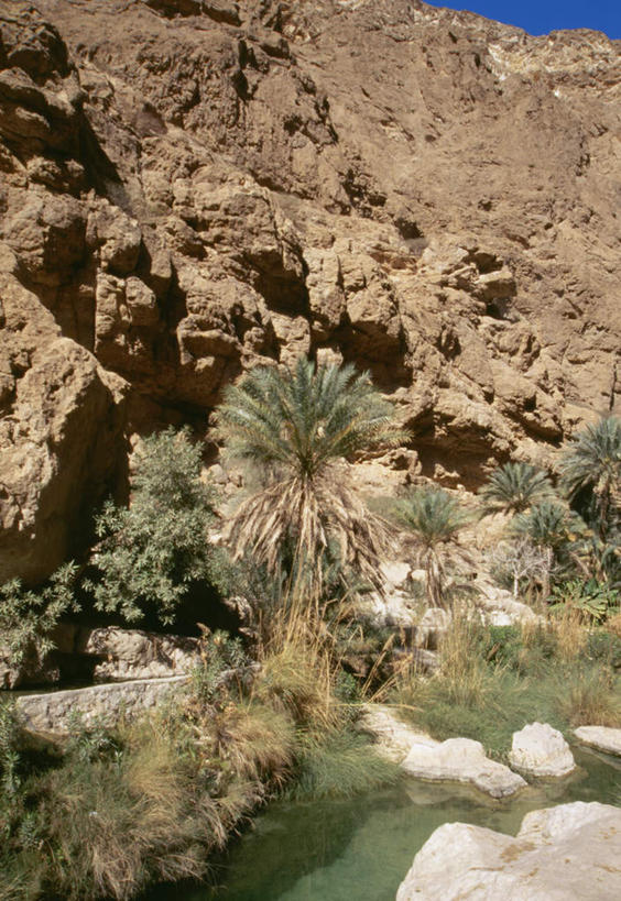 无人,竖图,室外,白天,正面,旅游,度假,安全,河流,石头,山,山脉,水,阿曼,亚洲,阴影,平静,光线,石子,影子,光,河水,山峰,水流,山峦,娱乐,蓝色,风景,蓝天,天空,小溪,阳光,群山,天,溪水,享受,休闲,景色,放松,晴朗,风光,宁静,景物,西亚,和平,安详,万里无云,风物,光景,景致,太平,安适,阿曼苏丹国,安好,宁靖,石块,晴空,晴空万里,彩图