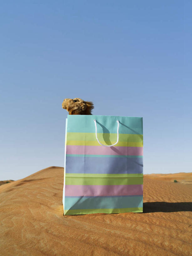 无人,竖图,俯视,彩色,室外,特写,白天,旅游,度假,安全,美景,沙漠,静物,袋子,礼物,阿联酋,亚洲,阴影,朦胧,模糊,平静,光线,包装袋,影子,纸袋,景观,娱乐,蓝色,蓝天,天空,阳光,自然,天,享受,休闲,景色,放松,礼品,晴朗,五颜六色,宁静,色彩斑斓,自然风光,礼品袋,西亚,和平,五彩缤纷,安详,阿拉伯联合酋长国,迪拜,万里无云,五彩斑斓,太平,安适,安好,宁靖,杜拜,五光十色,大漠,砂漠,晴空,晴空万里,彩图,高角度拍摄