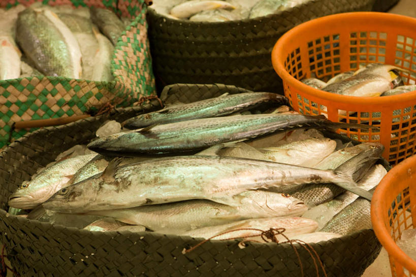 海鲜,无人,交叉,横图,俯视,室内,特写,白天,竹子,许多,阴影,竹制,编织,光线,鱼,篮子,影子,集市,市场,很多,货摊,水产,鱼类,货物,海洋生物,阳光,货品,竹篮,竹条,交织,竹制品,水生动物,海产品,水生物,海底动物,穿插,彩图,高角度拍摄,全身