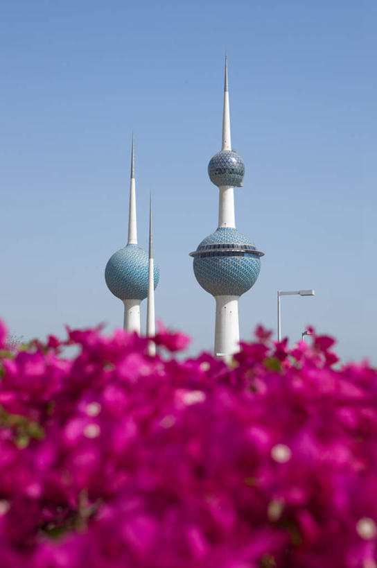 无人,竖图,室外,白天,仰视,度假,草地,草坪,美景,植物,城市风光,城市,路灯,照明,科威特,亚洲,一排,阴影,整齐,盛开,光线,影子,景观,灯光,首都,花蕾,娱乐,灯,草,花,花瓣,花朵,鲜花,树,树木,排列,蓝色,绿色,紫色,白色,蓝天,天空,阳光,自然,天,花苞,花蕊,享受,休闲,景色,放松,生长,晴朗,成长,照亮,照明设备,队列,西亚,万里无云,科威特国,科威特城,科威特水塔,晴空,晴空万里,彩图,低角度拍摄