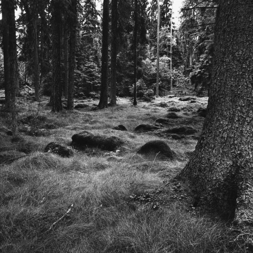 无人,方图,黑白,室外,白天,正面,旅游,度假,石头,美景,树林,植物,阴影,光线,石子,影子,景观,云,云朵,青苔,苔藓,云彩,娱乐,树,树木,蓝色,绿色,白云,蓝天,天空,阳光,自然,天,享受,休闲,景色,放松,生长,晴朗,成长,昏暗,阴暗,幽暗,自然风光,暗淡,惨淡,灰暗,晦暗,石块,岩石,晴空