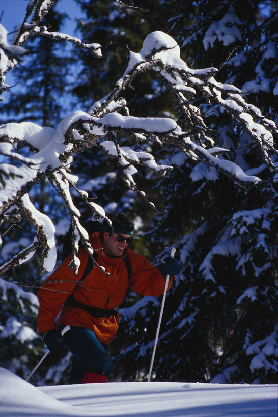 西方人,一个人,竖图,室外,白天,正面,旅游,度假,美景,树林,雪,植物,大雪,欧洲,欧洲人,仅一个男性,仅一个人,阴影,光线,影子,积雪,景观,雪景,冬季,冬天,娱乐,树,树木,仅一个年轻男性,蓝色,绿色,蓝天,天空,阳光,自然,天,享受,休闲,景色,放松,寒冷,生长,成长,雪橇,自然风光,滑行,严寒,男人,男性,年轻男性,白种人,彩图,全身