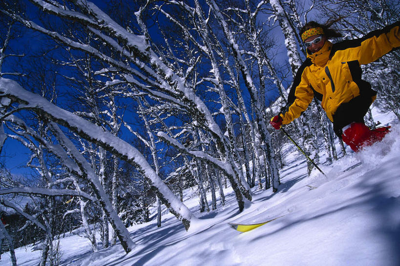 西方人,一个人,横图,室外,白天,仰视,旅游,度假,美景,树林,雪,植物,大雪,欧洲,欧洲人,仅一个年轻女性,仅一个女性,仅一个人,阴影,光线,影子,积雪,景观,雪景,冬季,冬天,娱乐,树,树木,蓝色,绿色,蓝天,天空,阳光,自然,天,享受,休闲,景色,放松,寒冷,生长,成长,雪橇,自然风光,滑行,严寒,年轻女性,女人,女性,白种人,半身,彩图,低角度拍摄