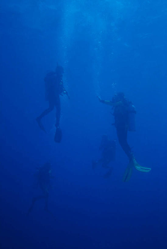 游泳,西方人,两个人,竖图,室外,白天,侧面,锻炼,运动,海底,水下,水,欧洲,欧洲人,潜水镜,液体,泳镜,水滴,水底,注视,观察,看,蛙鞋,海底世界,潜水,观看,脚蹼,呼吸管,察看,关注,潜水装备,面镜,浮潜,潜水运动,泅水,拍浮,体育,男人,男性,年轻男性,白种人,海床,彩图,全身,健身