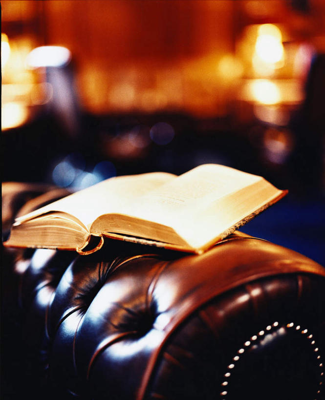 无人,客厅,竖图,室内,特写,白天,正面,沙发,书籍,一本,阴影,朦胧,模糊,光线,影子,灯光,皮革,打开,翻开,起居室,高贵,尊贵,客堂,掀开,书,图书,彩图,皮沙发