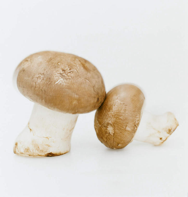 无人,竖图,室内,白天,白色背景,正面,阴影,光线,影子,灯光,菌菇,蘑菇,美味,菌类,两个,食用菌,摄影,影棚,甘旨,厚味,鲜味,彩图,影棚拍摄,拍摄