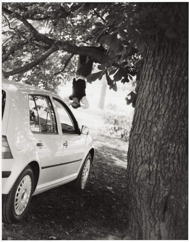 无人,竖图,室外,白天,正面,树林,植物,汽车,一辆,停靠,阴影,光线,影子,面包车,车,树,树木,蓝色,绿色,蓝天,天空,阳光,自然,交通工具,天,生长,晴朗,成长,停泊,载具,万里无云,晴空,晴空万里,彩图