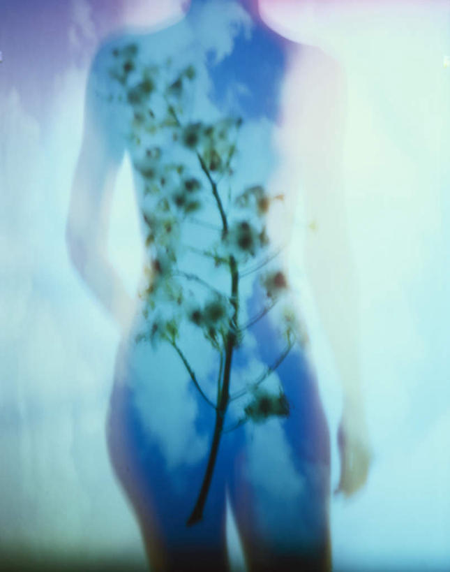 西方人,一个人,站,竖图,室外,白天,正面,树林,植物,欧洲,欧洲人,仅一个年轻女性,仅一个女性,仅一个人,一棵,朦胧,模糊,手叉腰,树,树木,绿色,自然,叉腰,站着,生长,成长,年轻女性,女人,女性,白种人,站立,半身,彩图