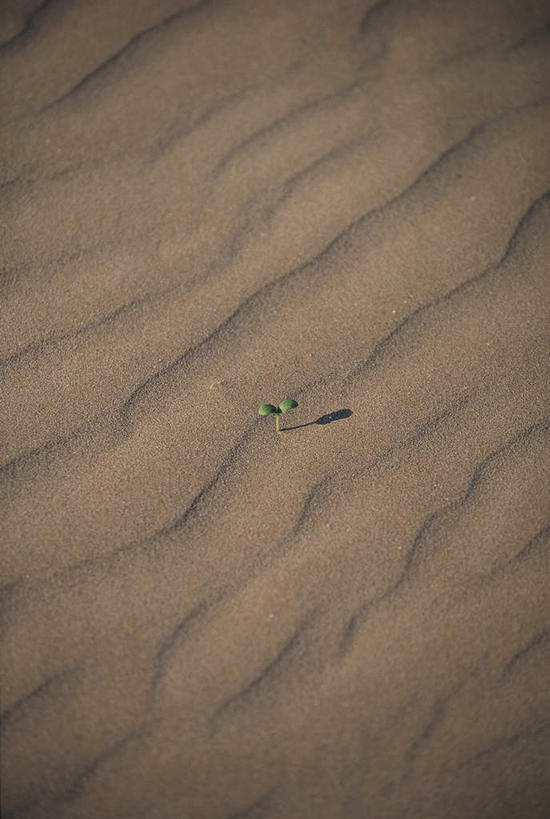 无人,竖图,俯视,航拍,室外,白天,留白,旅游,度假,荒凉,美景,沙漠,阴影,光线,影子,景观,娱乐,阳光,自然,享受,休闲,景色,放松,鸟瞰,自然风光,大漠,荒地,荒芜,砂漠,彩图,高角度拍摄