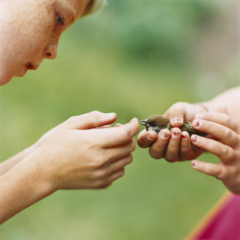 西方人,儿童,手,两个人,伙伴,朋友,站,摸,横图,室外,特写,白天,侧面,友谊,草地,草坪,植物,鸟,欧洲,欧洲人,抚摸,握,阴影,朦胧,模糊,光线,鸟类,影子,拿,拿着,注视,草,树,树木,一只,小孩,绿色,阳光,自然,观察,看,站着,手部,小心,握着,生长,幼崽,成长,观看,察看,关注,警惕,谨慎,友情,男孩,男人,男性,女孩,女人,女性,白种人,触摸,接触,站立,半身,彩图,男生,女生