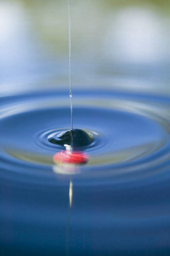 无人,竖图,俯视,室外,特写,白天,河流,水,阴影,波纹,朦胧,模糊,漂浮,清澈,飘扬,光线,影子,塑料,河水,水流,飘落,球,一个,红色,水纹,阳光,塑料制品,波浪,浮标,单个,下沉,降落,飘零,明澈,清彻,清亮,彩图,高角度拍摄