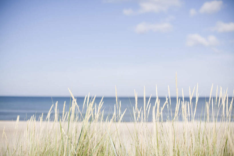 无人,横图,室外,白天,正面,旅游,度假,草地,草坪,海浪,海洋,美景,植物,瑞典,欧洲,朦胧,模糊,景观,浪花,水平线,辽阔,海平线,娱乐,草,蓝色,绿色,蓝天,天空,自然,海水,天,享受,休闲,广阔,景色,放松,晴朗,一望无际,斯堪的纳维亚,自然风光,北欧,斯堪的纳维亚半岛,海景,万里无云,哥得兰岛,瑞典王国,无边无际,一马平川,大海,风浪,海,海水的波动,近岸浪,涌浪,晴空,晴空万里,彩图,水天相接,水天一线