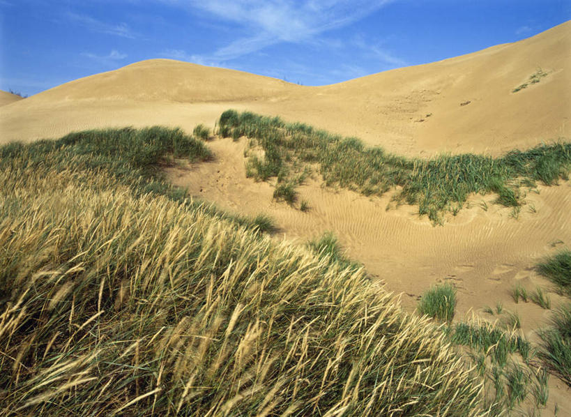 无人,横图,室外,白天,正面,旅游,度假,草地,草坪,美景,沙漠,植物,丹麦,欧洲,阴影,光线,影子,景观,云,云朵,沙丘,云彩,娱乐,草,蓝色,绿色,白云,蓝天,天空,阳光,自然,天,享受,休闲,景色,放松,高低,晴朗,凹凸,自然风光,北欧,洼地,丹麦王国,崎岖,日德兰半岛,大漠,砂漠,晴空,彩图