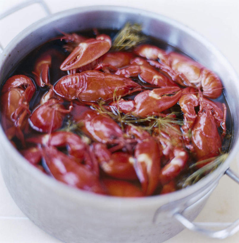 海鲜,龙虾,无人,竖图,俯视,室内,白天,烹饪,厨房,厨具,金属制品,阴影,飘扬,光线,金属,锅子,影子,虾,锅,水产,海洋生物,阳光,锅具,水生动物,海产品,水生物,海底动物,烹饪用具,浮荡,飘拂,漂荡,飘零,烹调用具,烹调,彩图,高角度拍摄,灶间,飘荡