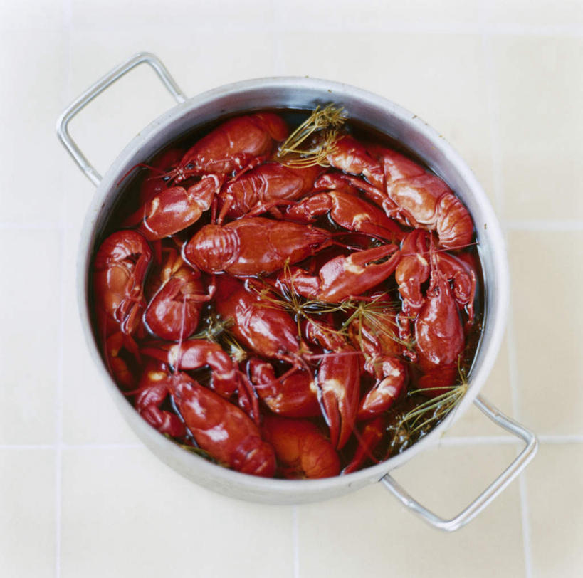 海鲜,龙虾,无人,横图,俯视,室内,白天,烹饪,厨房,厨具,金属制品,阴影,飘扬,光线,金属,锅子,影子,虾,锅,水产,海洋生物,阳光,锅具,水生动物,海产品,水生物,海底动物,烹饪用具,浮荡,飘拂,漂荡,飘零,烹调用具,烹调,彩图,高角度拍摄,灶间,飘荡