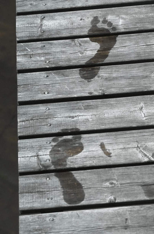 无人,竖图,俯视,室外,特写,白天,水,脚印,阴影,光线,木板,液体,影子,水滴,桥,木桥,栈桥,阳光,人行桥,木板桥,足迹,行踪,脚迹,彩图,高角度拍摄